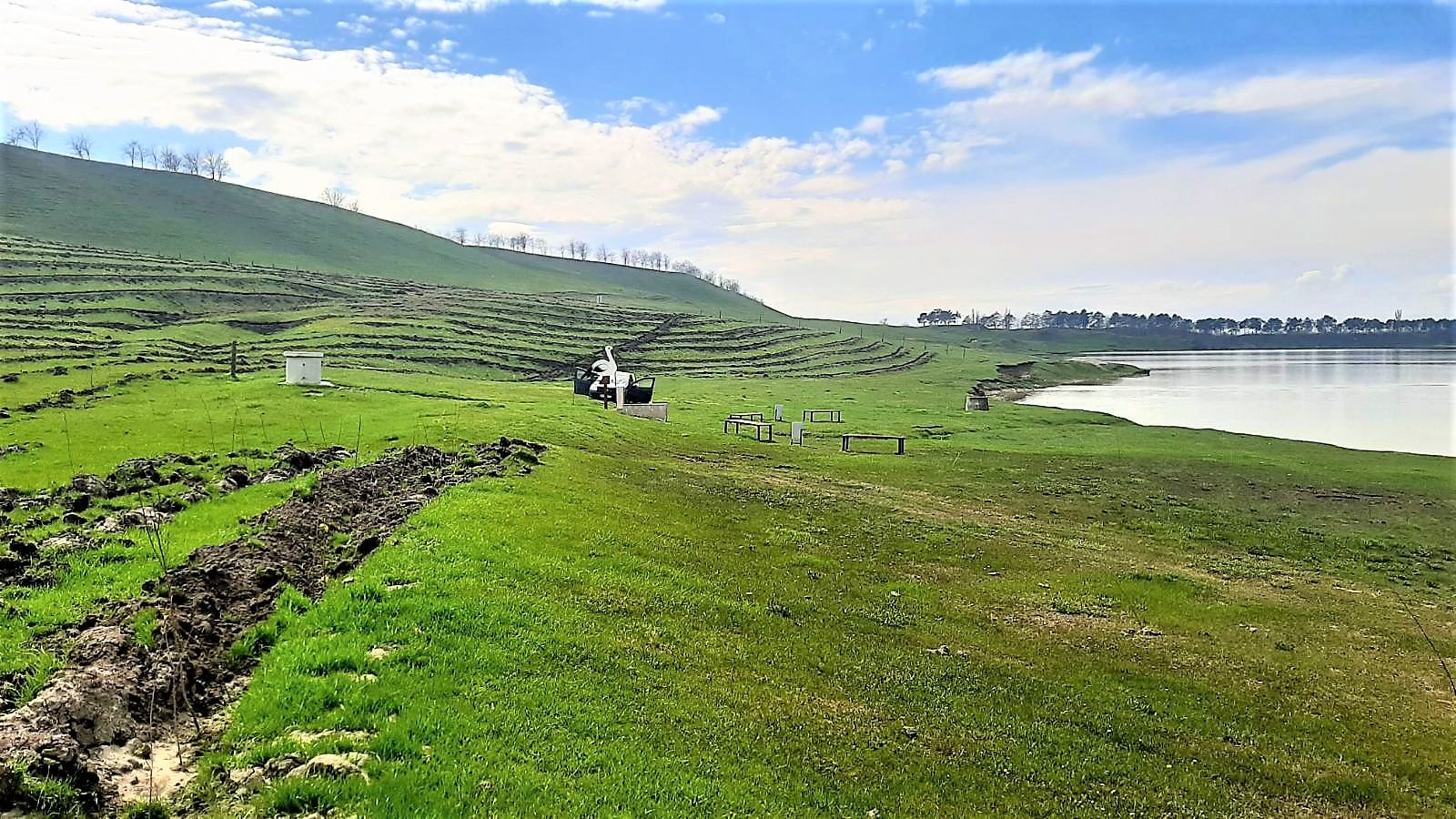 Amenajarea isvorului și plantare pe moșia satului Viișoara, raionul Glodeni