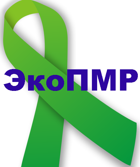 EcoPMR Logo